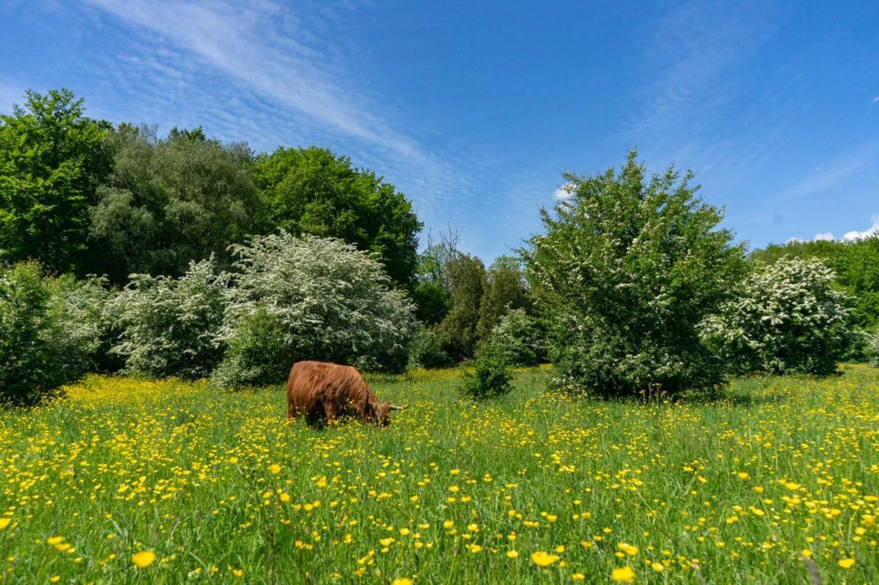 فندق Europarcs Het Amsterdamse Bos أمستلفين المظهر الخارجي الصورة